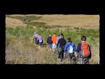 Learn about MCSP's Travel Scholarship Fund 